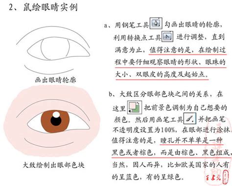 鼠眼|五官相面學——鼠眼